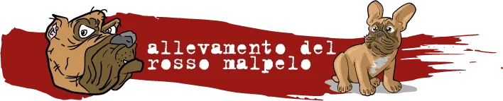 Logo del partner Del Rosso Malpelo